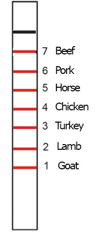 dna lateral flow strip meat speciation labeled