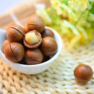 macadamia nut