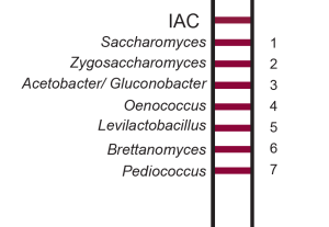 PCR strip showing organisms detected.