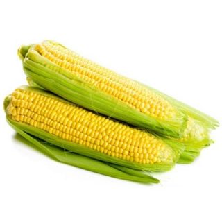 corn - ratio